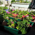 إطلاق مبادرة 