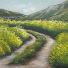 الفنان  محمد الشريف  يجهز لمعرض رسوماته  التشكيليه