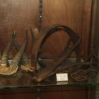 متحف المنطار في طولكرم يشتم منه  رائحة الماضي بعبق التاريخ