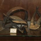 متحف المنطار في طولكرم يشتم منه  رائحة الماضي بعبق التاريخ