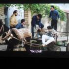 العرض الأول لفيلم محمد عساف 