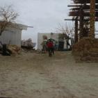 العرض الأول لفيلم محمد عساف 