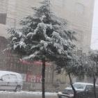 الزائر الأبيض في ضيافة الخليل