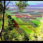 طفولة قديمة المتوكل طه