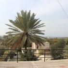 متنزه بنات يعقوب الأثري في ضاحية ارتاح في مدينة طولكرم