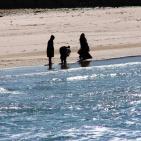 جولة في ميناء غزة البحري