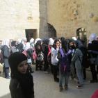 قصور عرابة تستضيف معرضي صور مسرح الحرية 