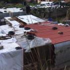 بالصور والفيديو: حارة 