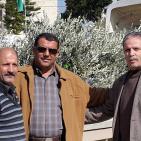 الاغاثة الزراعية تبدا بتوزيع الاشتال في جنين