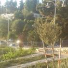 عين كارم ­­­­­­­­ شاهده على تاريخ الفلسطينين في القدس