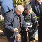 زراعة أشجار بأسماء شهداء الخليل