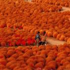 مجموعة صور طبيعية مذهلة من مختلف أنحاء العالم