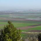 سهول مرج ابن عامر تكتسيى بالخضرة - عرابه جنين