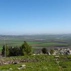 سهول مرج ابن عامر تكتسيى بالخضرة - عرابه جنين