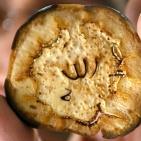 شاهد اغرب الصور