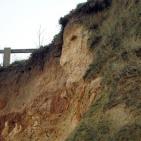 شاهد اغرب الصور