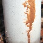 شاهد اغرب الصور