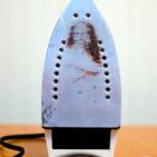 شاهد اغرب الصور