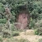 شاهد اغرب الصور