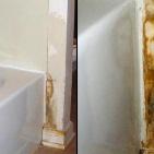 شاهد اغرب الصور