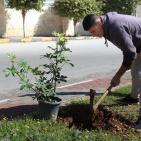 النجاح التطوعية تُنظم نشاط لزراعة الأشجار بالتعاون مع بلدية نابلس