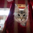 اجمل صور شهر فبراير