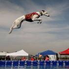 اجمل صور شهر فبراير