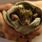 اجمل صور شهر فبراير