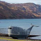 اجمل صور شهر فبراير