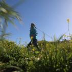 مواجهات امام سجن عوفر اليوم الجمعة