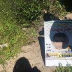 صور: 47 شتلة زيتون بأسماء شهداء القدس