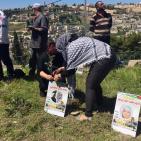 صور: 47 شتلة زيتون بأسماء شهداء القدس