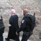 صور: قوات الاحتلال تعتقل خطيب المسجد الاقصى