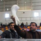 أسعاره لا تُصدق.. الحمام النادر والثمين بغزة