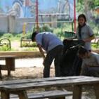 طلبة من مدرسة بكالوريا الرواد في نابلس يقومون بأعمال تنظيف لمنتزه جمال عبد الناصر