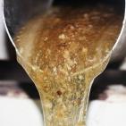 صور: رايــة تشارك المزارعين في جني العسل بقطاع غزة