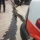 صور: اصابة مواطن بعد انقلاب جراره الزراعي بالخليل