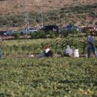 افتتاح مهرجان الفقوس في بلدة دير بلوط