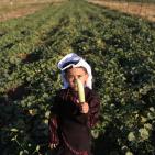 افتتاح مهرجان الفقوس في بلدة دير بلوط