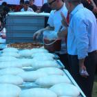 فريق ايطالي يصنع البيتزا الايطالية للمارة بغزة مجاناً