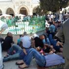 صور: أكثر من 280 ألفاً أدوا الجمعة الأخيرة برحاب الأقصى