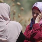 الاحتلال يهدم 10 منازل في قرية قلنديا شمال القدس