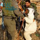 الاحتلال يهدم ثلاثة منازل في أم الخير جنوب الخليل