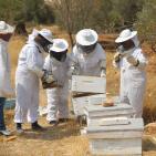 نحّالات كفر مالك