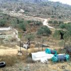 من قرية فرخة إلى العالمية