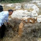 من قرية فرخة إلى العالمية