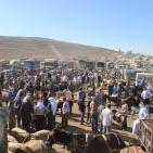 سوق الحلال في الخليل..حركة نشطة قبيل العيد