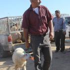 سوق الحلال في الخليل..حركة نشطة قبيل العيد