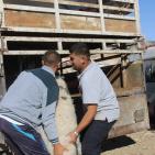 سوق الحلال في الخليل..حركة نشطة قبيل العيد