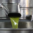 مراحل عصر الزيتون في الخليل